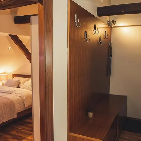 Skol Apartment S Parkiriscem Celje Extérieur photo
